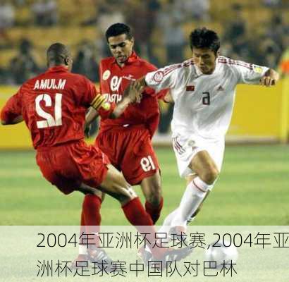 2004年亚洲杯足球赛,2004年亚洲杯足球赛中国队对巴林